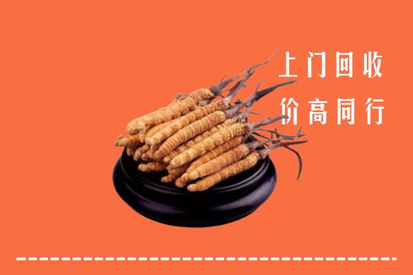 高价求购：壶关县回收散虫草