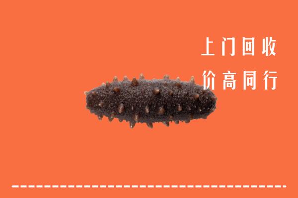 高价求购：壶关县回收海参