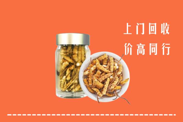 壶关县回收冬虫夏草
